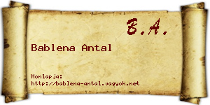 Bablena Antal névjegykártya