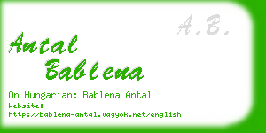 antal bablena business card